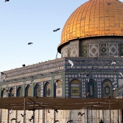 والبُعدُ باتَ مُعذبي