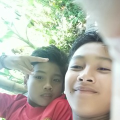 Bincepok gen