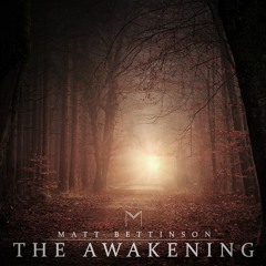 Matt Bettinson - The Awakening