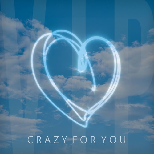 IDFK - Crazy for You VIP