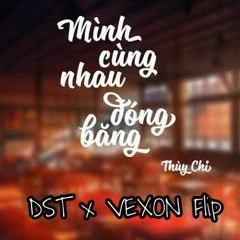 Mình Cùng Nhau Đóng Băng - Vexon x DST (Flip)