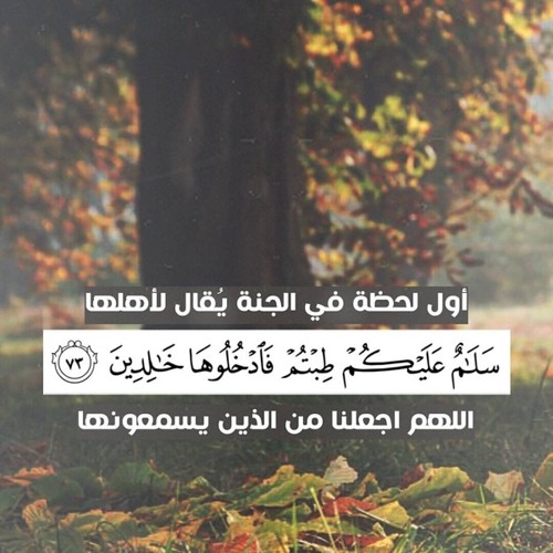 تلاوة لسور ص الزمر غافر للقارئ بدر التركي | ليلة 25 رمضان 1439هـ