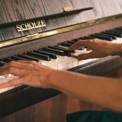 lily set - with better croc