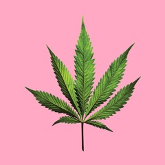 Marijuana (iphone recording freestyle)