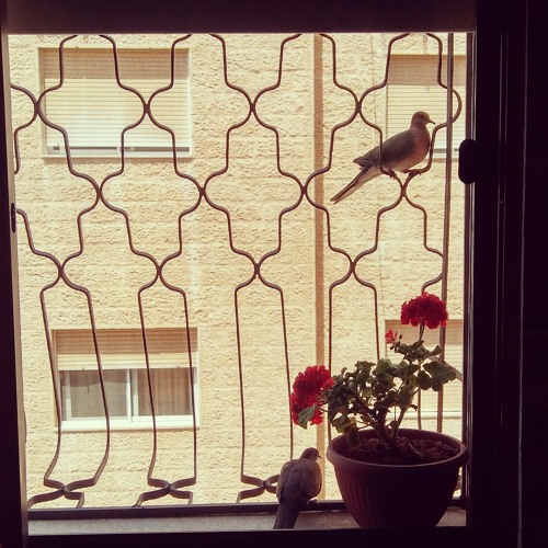 يومين شهرين - عصام رجي