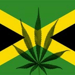 Dont Kill The Bread By Culture Lucky