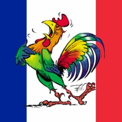" Le French CoQ "  uptempo Frenchcore mixed by D Mayor
