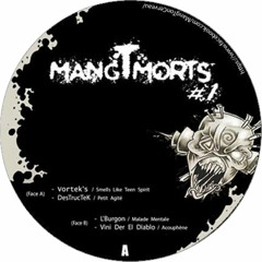 DesTrucTeK - Petit Agité - (REMIX)