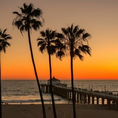 Los Angeles Electric Sunsets Vol.2