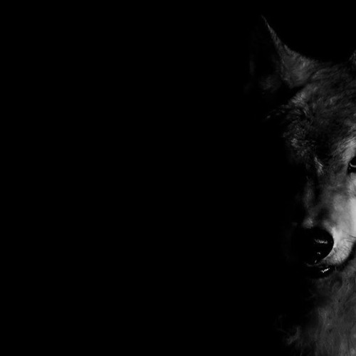 Stream Hammer Down Protocol by Lycan Studios Listen online for free