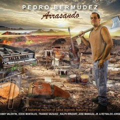 Mentiras No Quiero  - PEDRO BERMUDEZ (feat. José Mangual Jr)