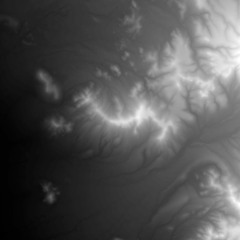 If you find her make sure she gave birth to a lizard person