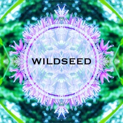 Wildseed Friday Night Live at the Fiddlers Elbow