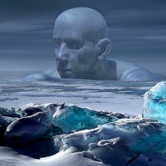 Arctic Incident