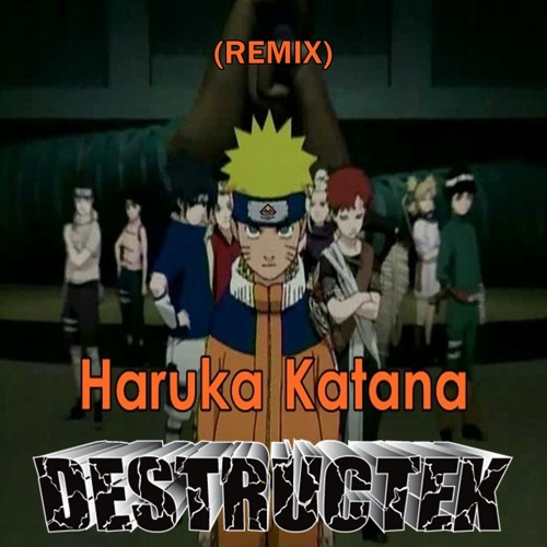 DesTrucTeK - Haruka Katana - (REMIX)