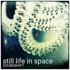 This Is Not The Artist You Are Looking For