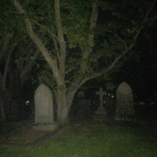 theres ghosts in my head (prod. taylor morgan)