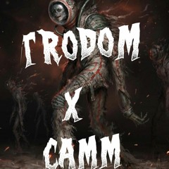 TRODOM & CAMM_PEGASO