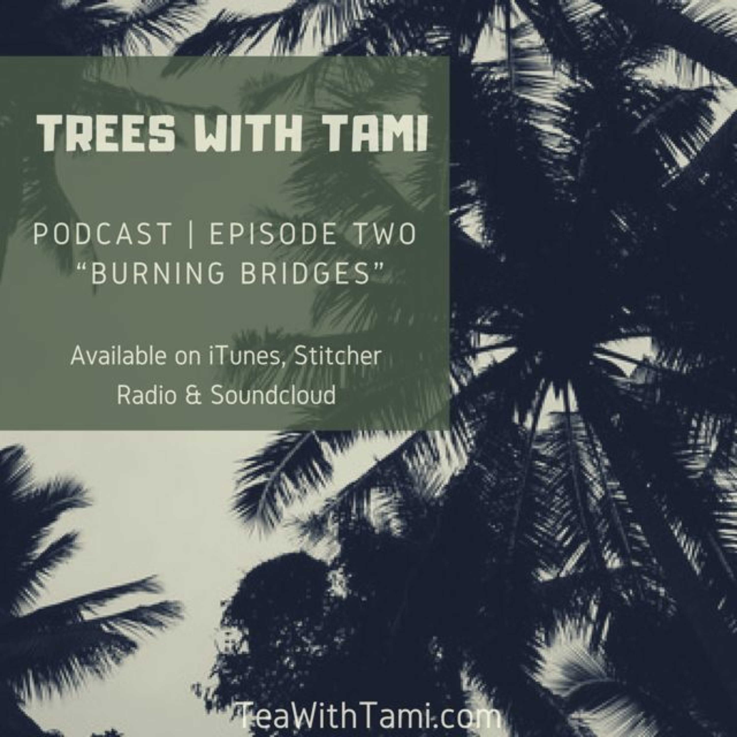 Tea With Tami