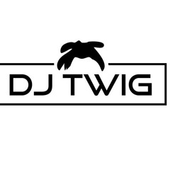 Bushy B-Not My Dawg (Fastmusic by Dj Twig)