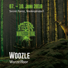 Woozle // at Wurzelfestival 2018 [09.06.18]