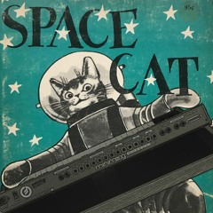 Theme for Space Cat