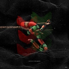 Gucci Snake (Prod By. D.Flowers)