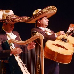 Return of the Mariachi