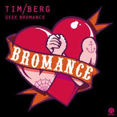 Tim Berg- Seek Bromance (Zander Pulse B00tleg)