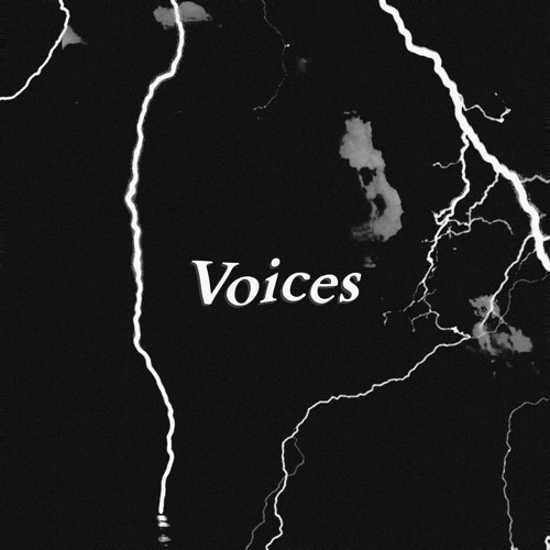Voices (Prod. by Trill Emotion) [feat. Big Price]