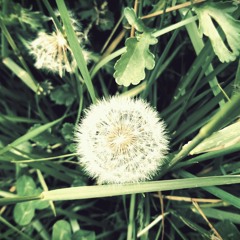 安靜地方+kiirtan   2018-6-10