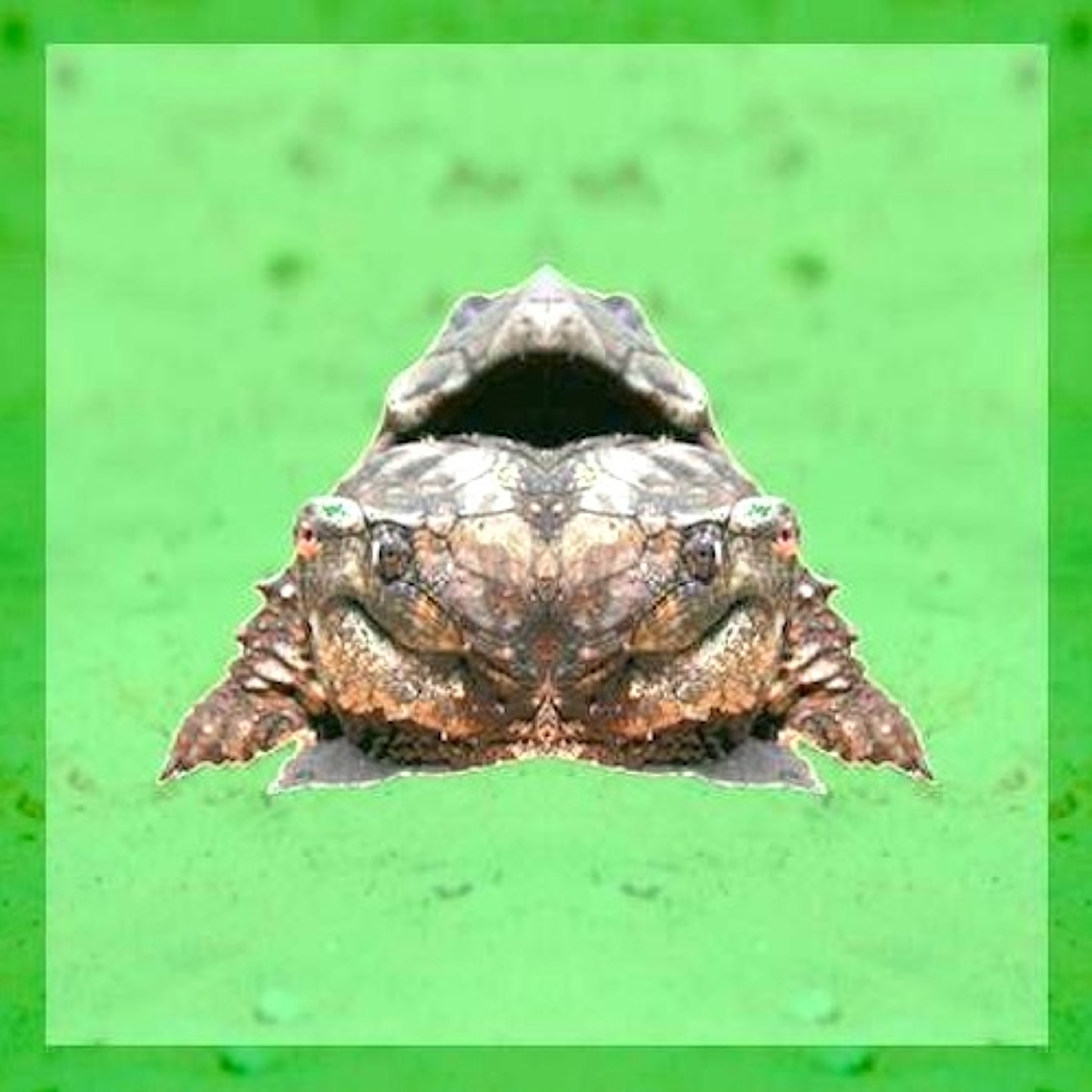 ElvisJC - STBB588 - SandTurtle episode artwork