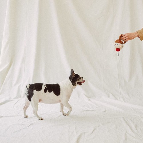 Stream Your Dog Loves You Feat Crush By ì½œë
