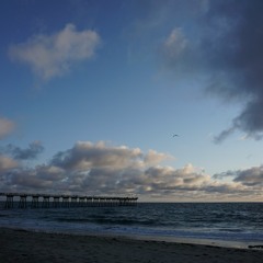 Virginia (so into you)