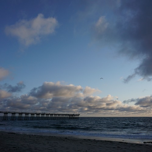 Virginia (so into you)