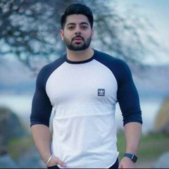 Bullshit- karam bajwa