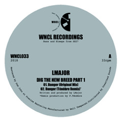 [Premiere] LMajor - Danger (out on WNCL Recordings)