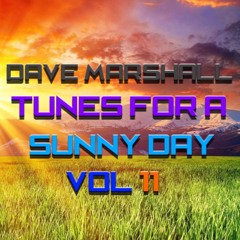 Dave Marshall - Eclectic Mix - Tunes For A Sunny Day Vol 11