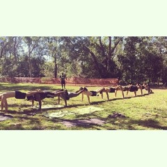 Sk_Boiiz - Unity.mp3