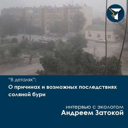 «В деталях»: О причинах и возможных последствиях соляной бури