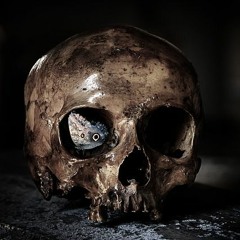 Evilteck - The Dark Side