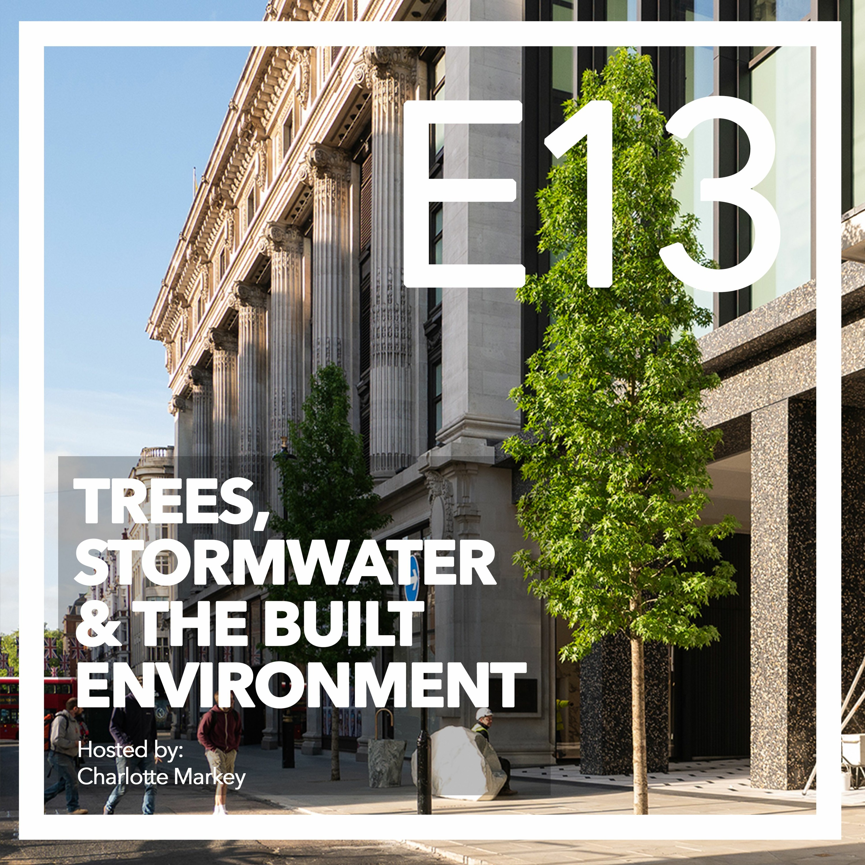Trees-Stormwater