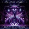 Ace Ventura - Psychedelic Awakening Full Album mix [Psy-Nation Radio] DJ mix artwork - Electronic music tracklist cover image