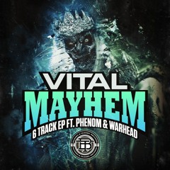 Vital - Fruitcake Riddim[Bagged & Tagged Records]