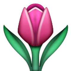 SPRING SPRUNG