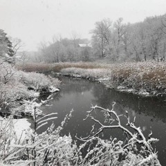 Bach Cello Suite #1 for nylon guitar & acoustic bass