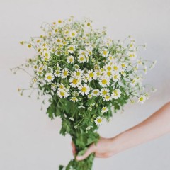 Giọng nữ hay <3