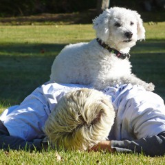 The Weight - The Band