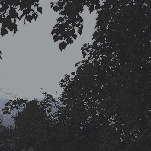 SA6TA6NI6KA x AUREATE - SO EMPTY