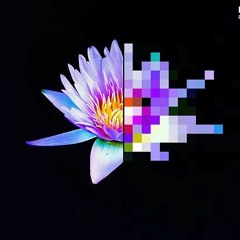 PIXELATED LOTUS
